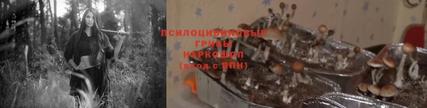 прущий лед Инсар