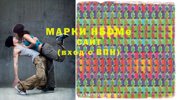 прущий лед Инсар