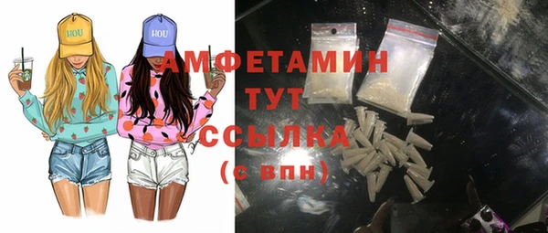 прущий лед Инсар