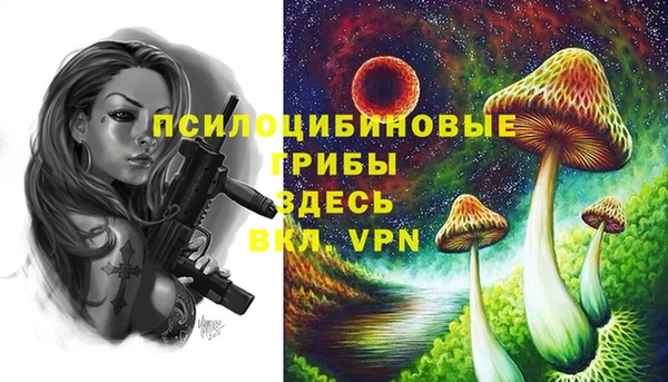 2c-b Иннополис