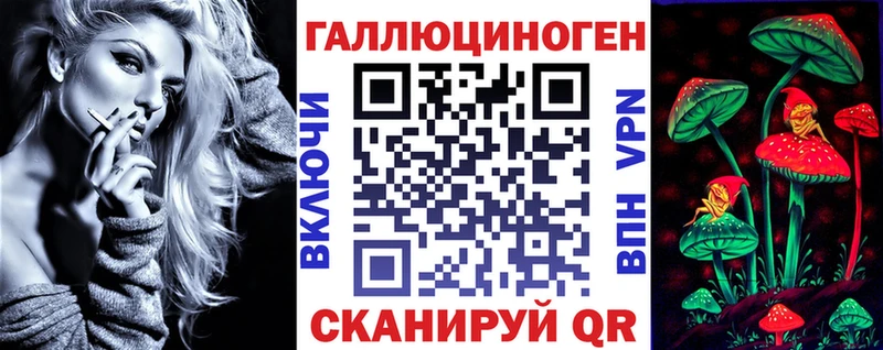 Купить где  Гаджиево  Псилоцибиновые грибы Psilocybine cubensis 